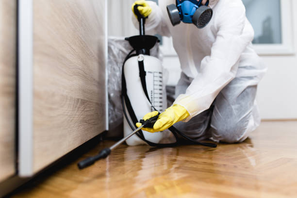  Rose, LA Pest Control Pros