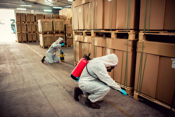 Best Wasp Removal Services  in Rose, LA