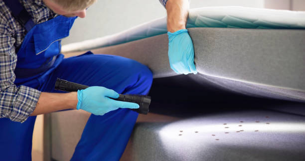 Best Flea Control Services  in Rose, LA