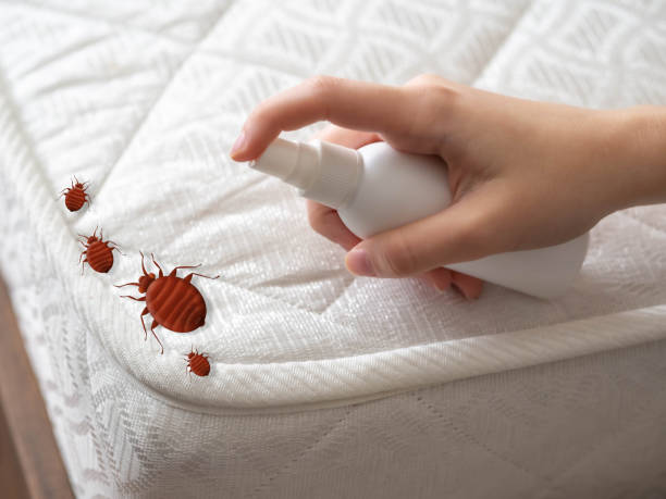 Best Pest Prevention Services  in Rose, LA