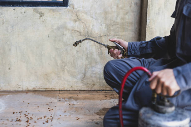 Best Emergency Pest Control  in Rose, LA